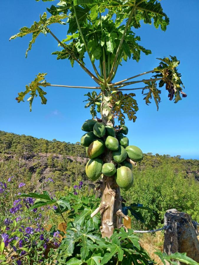 Almendro Villa Garafía Eksteriør billede